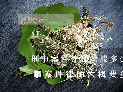 刑事案件律師一般多少錢(請(qǐng)刑事案件律師大概要多少錢)