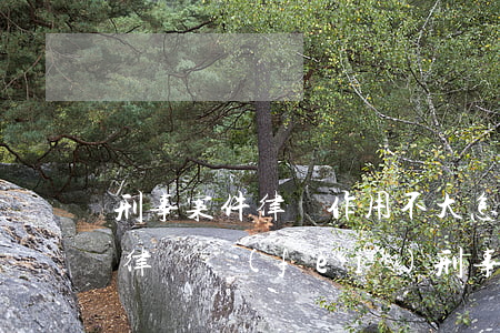 刑事案件律師作用不大怎么收費(fèi)(律師費(fèi)刑事案件一般是怎么收費(fèi))