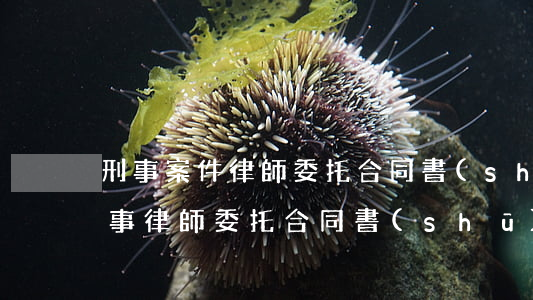 刑事案件律師委托合同書(shū)樣本(民事律師委托合同書(shū)樣本)