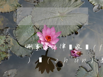 刑事案件律師收費(fèi)標(biāo)準(zhǔn)是多少(刑事案件律師費(fèi)用收取標(biāo)準(zhǔn))