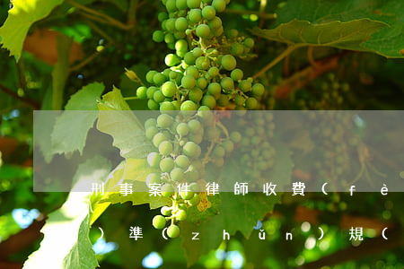刑事案件律師收費(fèi)標(biāo)準(zhǔn)規(guī)定(刑事律師收費(fèi))