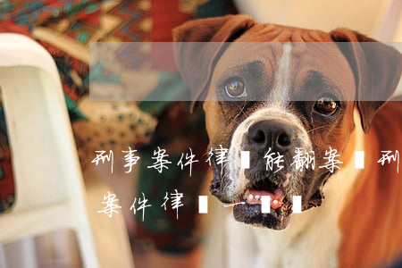 刑事案件律師能翻案嗎(刑事案件律師和民事案件律師一樣嗎)