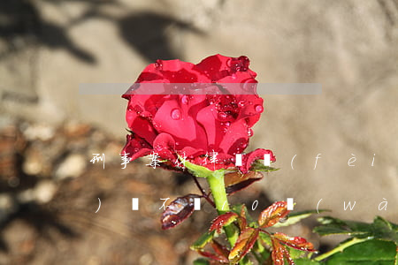 刑事案件律師費(fèi)10萬(wàn)貴不貴(10萬(wàn)塊錢的律師費(fèi)要多少)