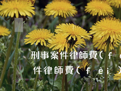 刑事案件律師費(fèi)大約多少(刑事案件律師費(fèi)大約多少,河北)