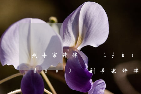 刑事案件律師費(fèi)由敗訴方承擔(dān)嗎(刑事案件律師費(fèi)由敗訴方承擔(dān)嗎)