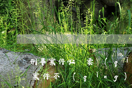 刑事案件必須要請(qǐng)律師嗎(刑事案件不請(qǐng)律師行嗎)