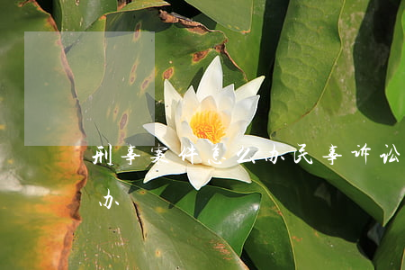 刑事案件怎么办(民事诉讼涉及刑事案件怎么办)