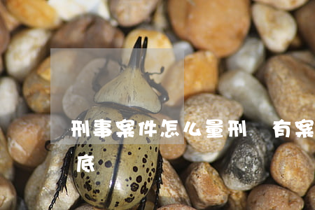 刑事案件怎么量刑沒有案底(沒被判刑算有案底嗎)