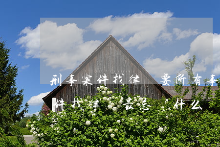刑事案件找律師要所有事情都交代嗎(刑事案件找律師最忌諱什么)