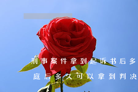 刑事案件拿到起诉书后多久开庭(刑事案件开庭后多久可以拿到判决书)