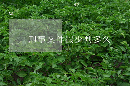 刑事案件最少判多久