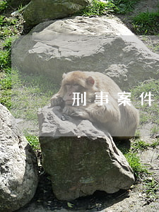 刑事案件最少判幾個月(刑事案件幾個月判決)