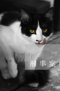 刑事案件最遲多久開(kāi)庭