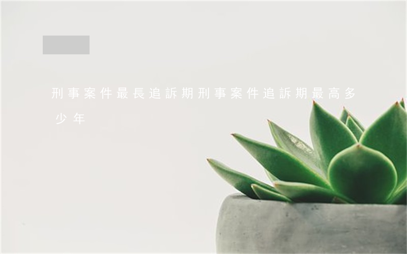刑事案件最長追訴期(刑事案件追訴期最高多少年?)
