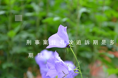 刑事案件有效追訴期是多久(刑事案子的追訴期限)