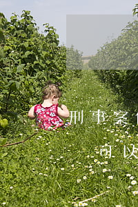 刑事案件民事案件律師能會見嗎(刑事案件律師可以見當(dāng)事人嗎)