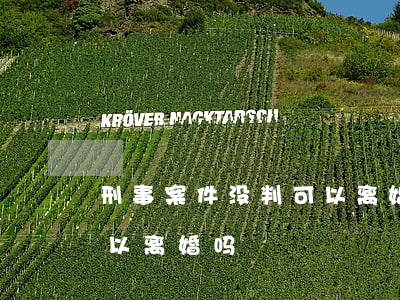 刑事案件没判可以离婚吗(老公未判刑期间可以离婚吗)