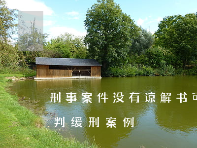 刑事案件没有谅解书可以判缓刑吗(无谅解书判缓刑案例)