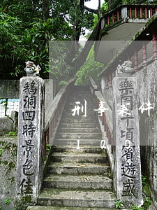 刑事案件法院可以主動(dòng)調(diào)查嗎(檢察院在調(diào)查案件時(shí)可以抓人嗎)