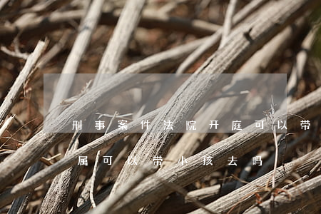 刑事案件法院开庭可以带孩子吗(法院开庭家属可以带小孩去吗)