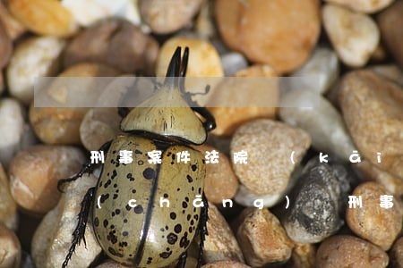 刑事案件法院開(kāi)庭家屬可以到場(chǎng)嗎(刑事案件開(kāi)庭前家屬可以見(jiàn)法官嗎)