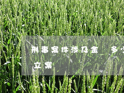 刑事案件涉及金額多少來定罪(刑事案件金額立案標準)