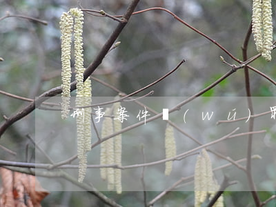 刑事案件無(wú)罪辯護(hù)流程