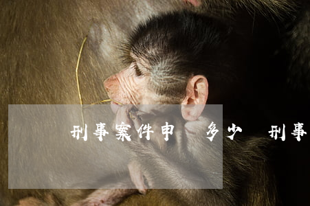 刑事案件申訴多少錢(刑事案件申訴法院)