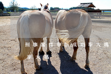 刑事案件申訴成功率大嗎(刑事案件申訴成功率大嗎)