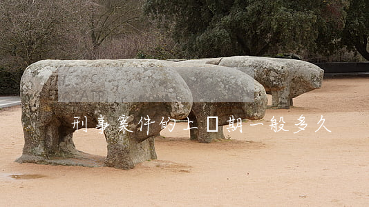 刑事案件的上訴期一般多久