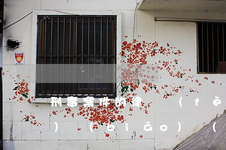 刑事案件的律師費(fèi)收費(fèi)標(biāo)準(zhǔn)是多少(刑事案件律師的收費(fèi)一般是多少)