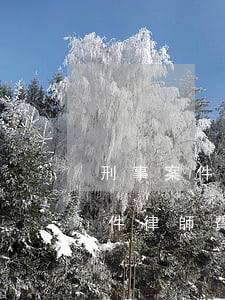 刑事案件的律師費(fèi)用多少(刑事案件律師費(fèi)用一般怎么收的)