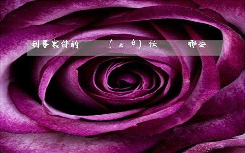 刑事案件的舉證責(zé)任歸納為哪些