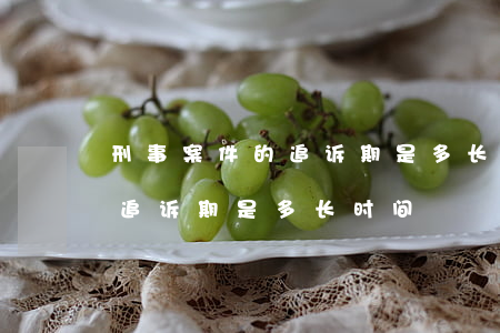 刑事案件的追诉期是多长时间(一般刑事案件追诉期是多长时间)
