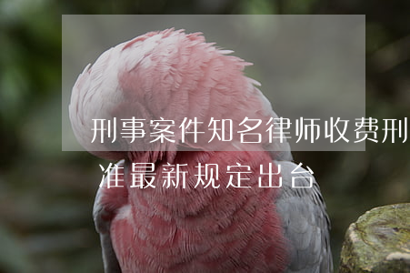 刑事案件知名律师收费(刑事案件律师收费标准最新规定出台)