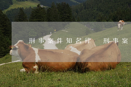 刑事案件知名律師(刑事案件知名律師收費)