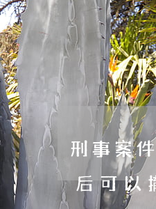 刑事案件立案了能撤訴嗎(案件一般立案的之后可以撤訴嗎)