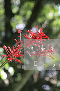 刑事案件立案撤案后案底會消失嗎(已經(jīng)立案的案件,是否可以撤案?)