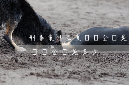 刑事案件立案標準金額是多少(刑事案件立案標準金額是多少)