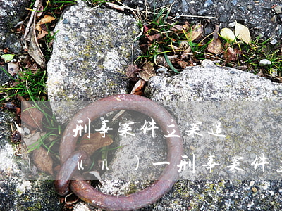 刑事案件立案追訴標(biāo)準(zhǔn)(一)(刑事案件立案追訴標(biāo)準(zhǔn)(一)補(bǔ)充規(guī)定)