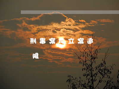 刑事案件立案追訴標準詐騙(詐騙立案追訴期限)