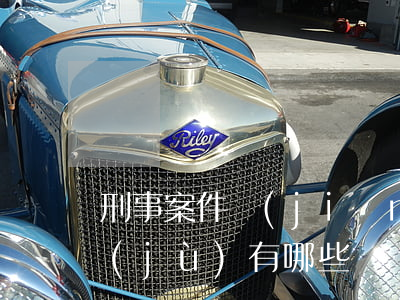 刑事案件簡(jiǎn)易程序的法律依據(jù)有哪些