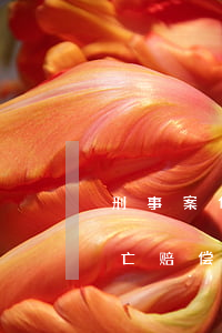 刑事案件致人死亡能获赔多少钱(刑事案件死亡赔偿项目)