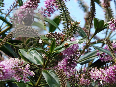 刑事案件要坐幾年牢(刑事犯罪一般多久會判下來)