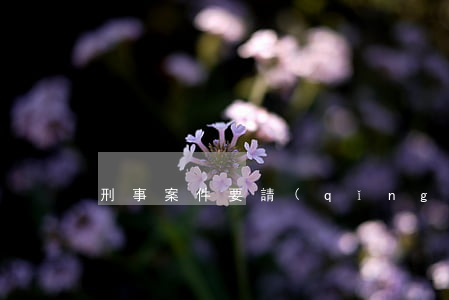 刑事案件要請(qǐng)律師嗎