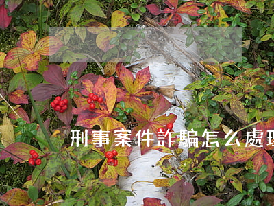 刑事案件詐騙怎么處理(怎么樣構成詐騙案)