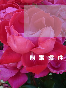 刑事案件認罪認罰辯護詞