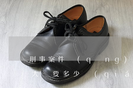 刑事案件請(qǐng)一個(gè)律師大約要多少錢(qián)(一般案件律師費(fèi)多少錢(qián))