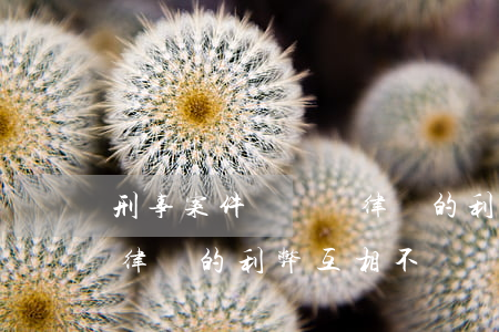 刑事案件請兩個律師的利弊(刑事案件請兩個律師的利弊互相不認識)