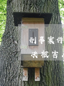 刑事案件谅解被害人可以起诉离婚吗(刑事判决被害人可以上诉吗)